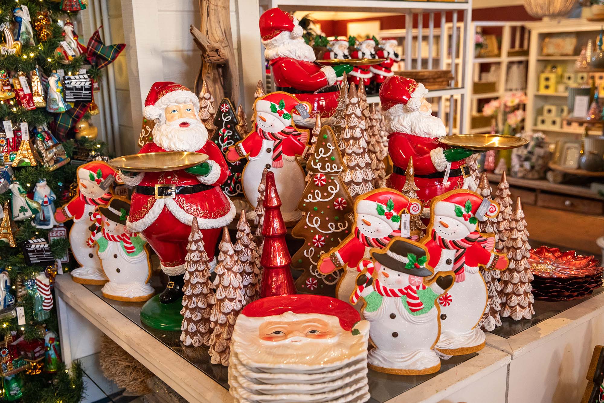 Christmas Gallery 2025 – Roger's Gardens