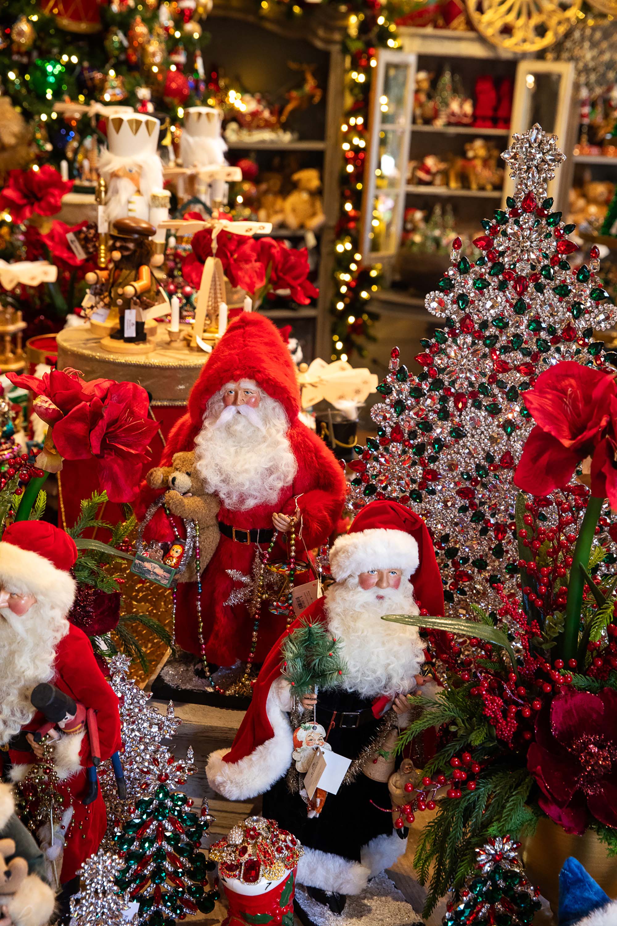Christmas Gallery 2025 – Roger's Gardens