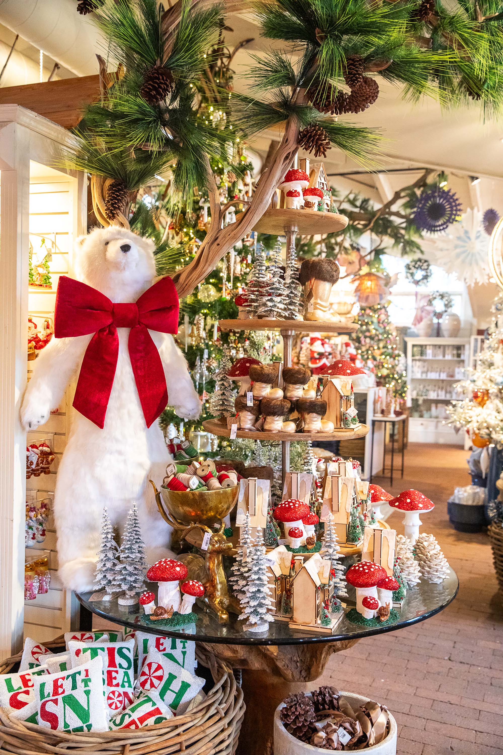 Christmas Gallery 2025 – Roger's Gardens