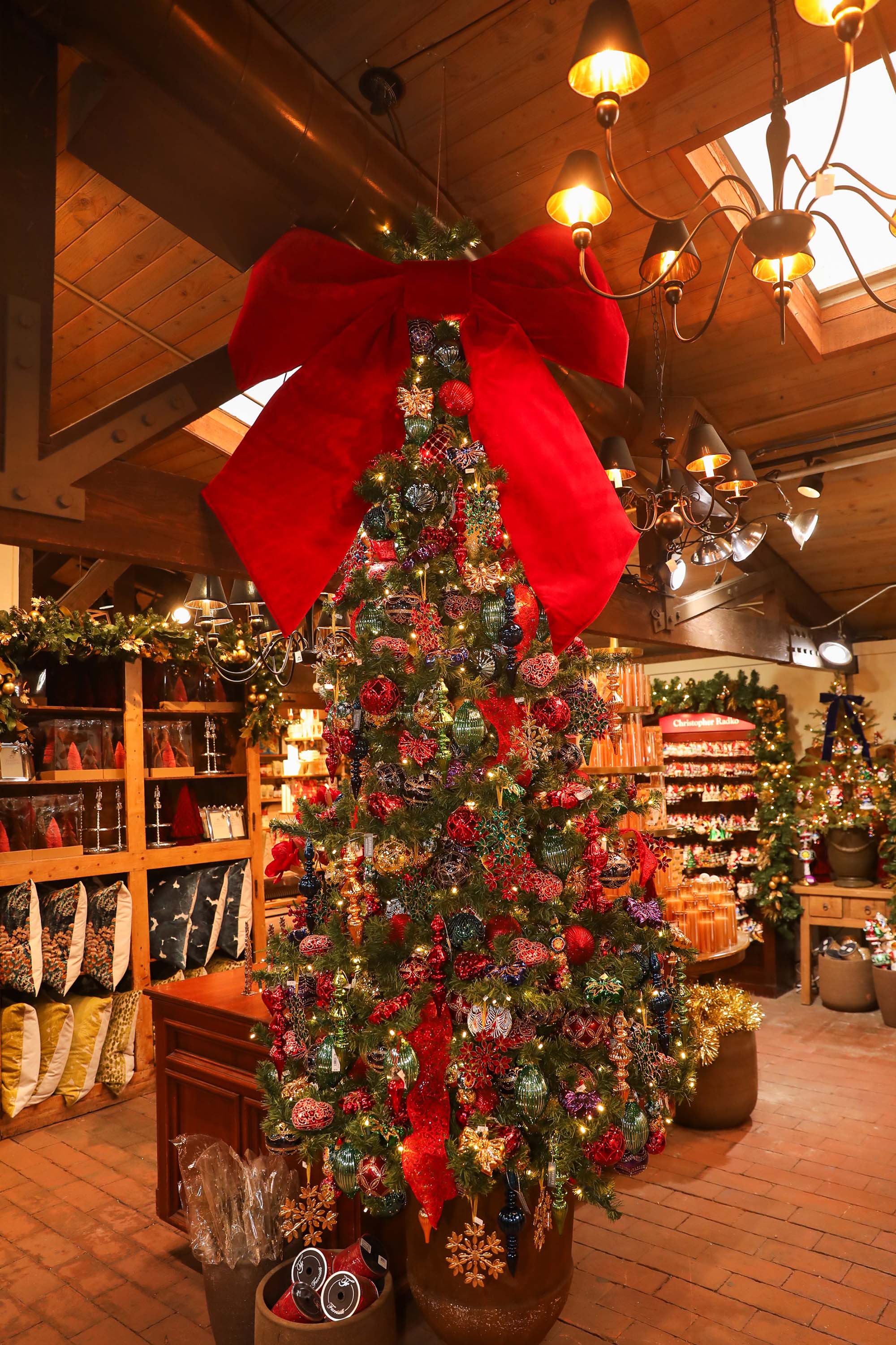 Christmas Gallery 2024 – Roger's Gardens